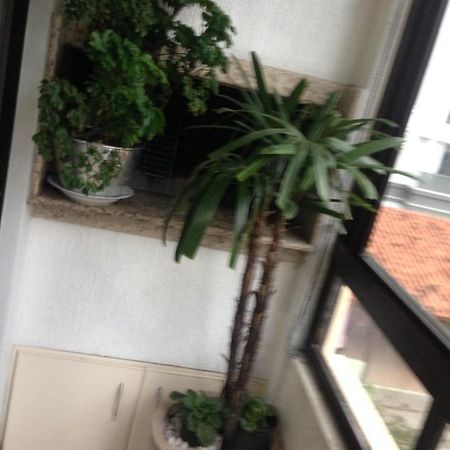 Jurere Apartment Florianopolis Luaran gambar